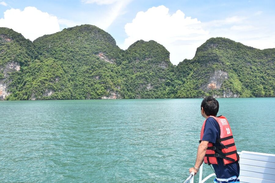 Phuket: Starlight Hong Sea Cave & Glowing Plankton by Kayak - Wildlife in the hongs