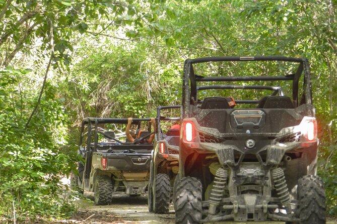 Playa del Carmen Buggy Tour with Cenote Swim and Mayan Village Visit - Pickup from Playa del Carmen hotels