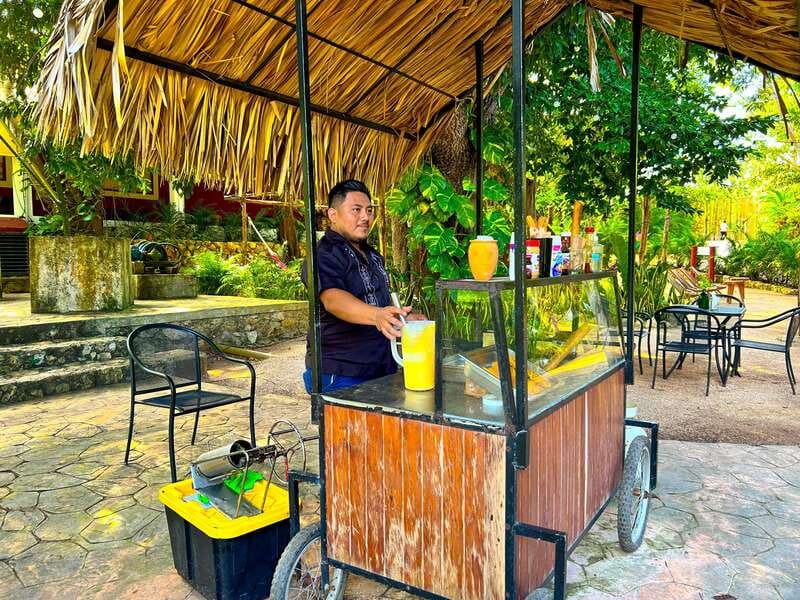 Playa del Carmen: Chichen Itza, Valladolid, Cenote & Buffet - Key points at a glance