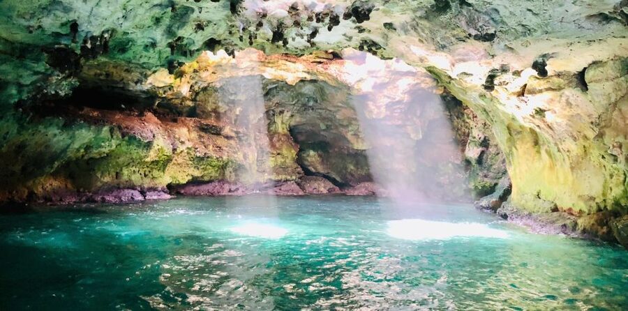 Polignano a Mare: Boat Trip, Swim & Cave with Aperitif - Languages, guides, and the small-group feel