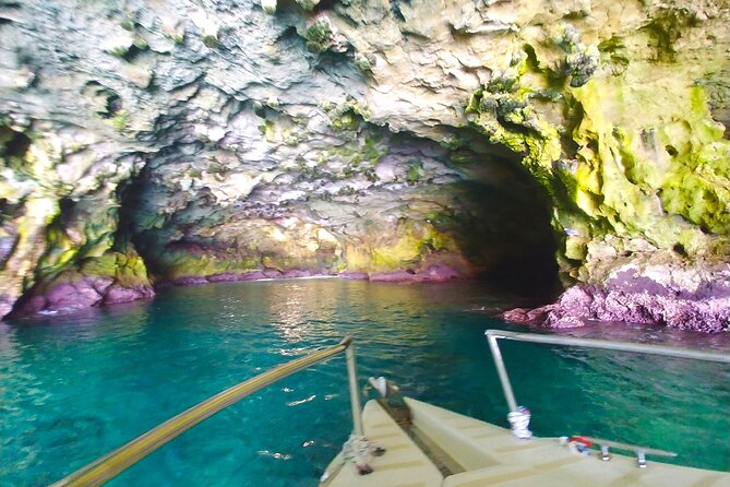 POLIGNANO BY BOAT: amazing sea caves and free drinks! - Swimming from the boat in the Adriatic