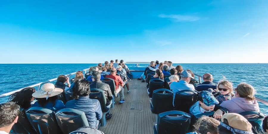 Portimão: Benagil Caves & Dolphins Watching with Biologist - What this Portimão cruise is really like