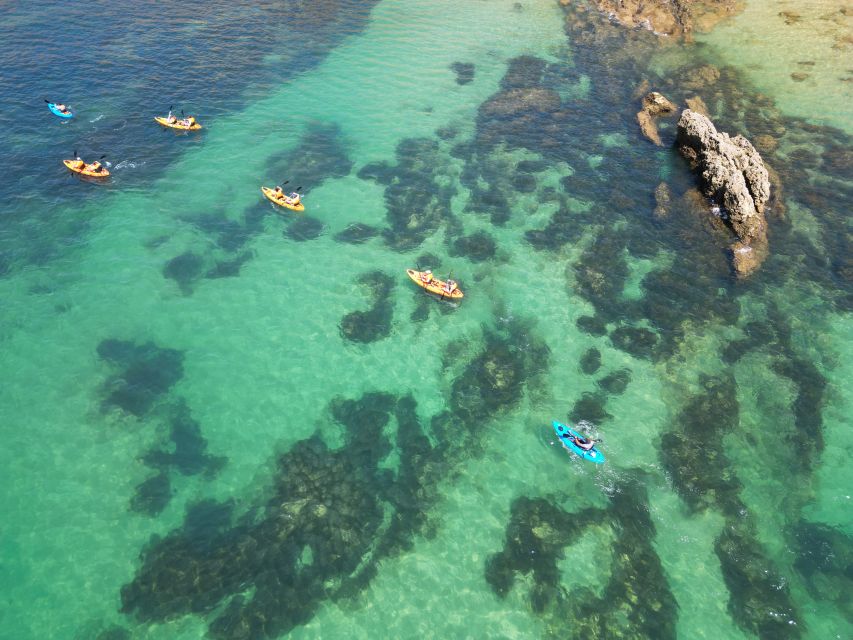 Portimão: Small Group Kayak Cave and Cliff Tour - Is $69 good value?