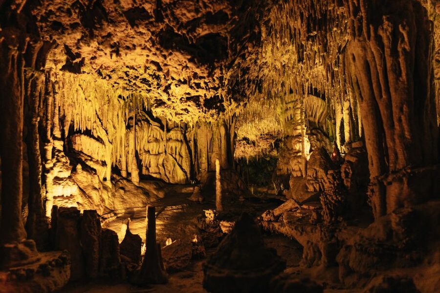 Porto Cristo: Caves of Hams Entry Ticket - How the visit is organized