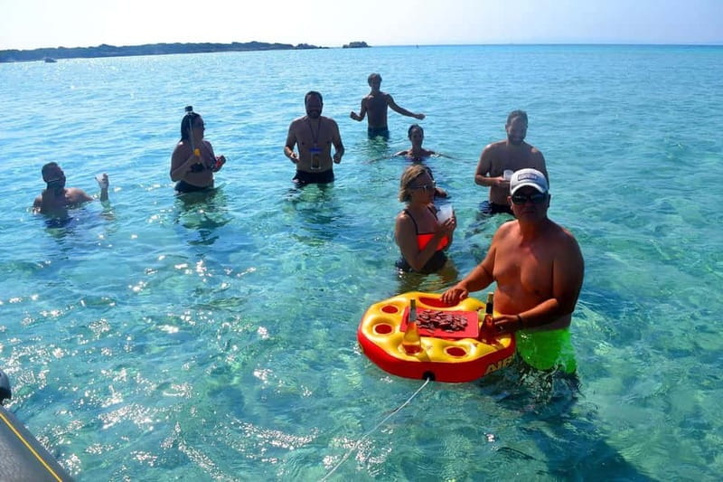 Porto-Vecchio : Boat Trip to Lavezzi, Caves & Bonifacio - Cerbicale: a quiet start among seabirds
