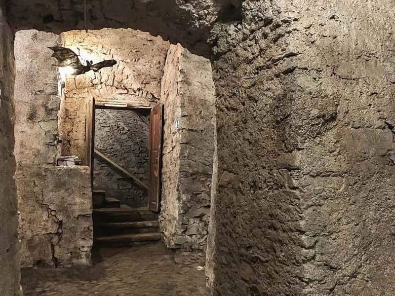 Prague: Oldtown, Medieval Underground & Dungeon History Tour - Floods, fires, plague, and life in medieval Prague