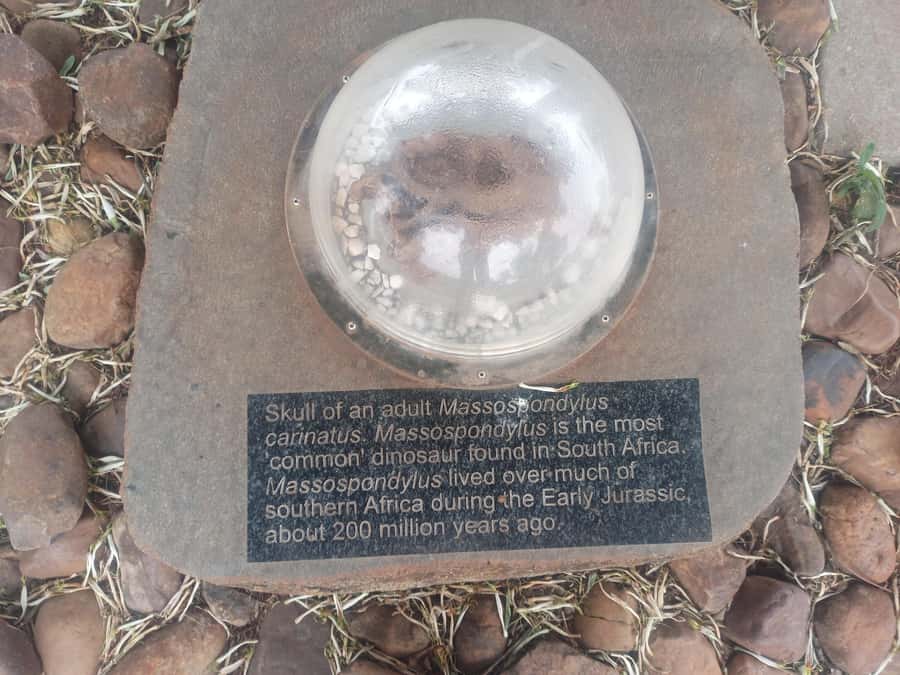 Pretoria/Sandton: Cradle of Humankind & Sterkfontein Caves - Practical booking advice