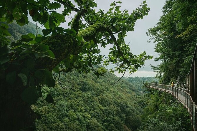 Private Canyon &Cave Tour from Batumi(Martvili,Okatse,Prometheus) - Should you book the Martvili, Okatse, and Prometheus tour?