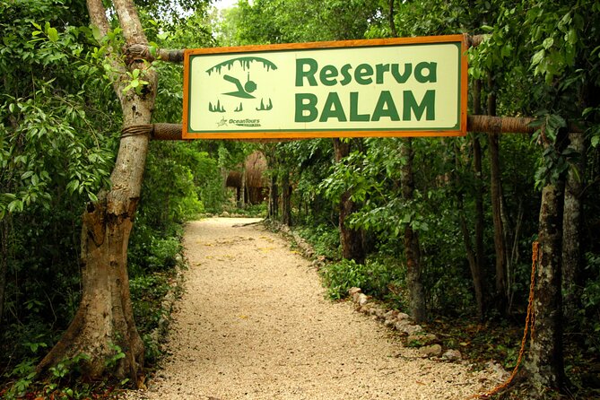 Private Jungle Adventure tour: Zipline + Rappel + Cenote - What the private format is worth at $295
