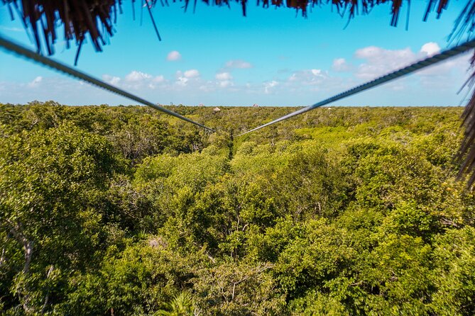 Private Jungle Adventure tour: Zipline + Rappel + Cenote - Who will enjoy this Cancun outing