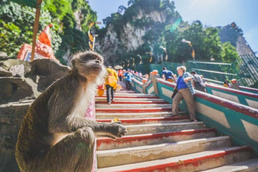 Private KL City Tour with Petronas Twin Towers & Batu Caves - Why this private Kuala Lumpur tour works