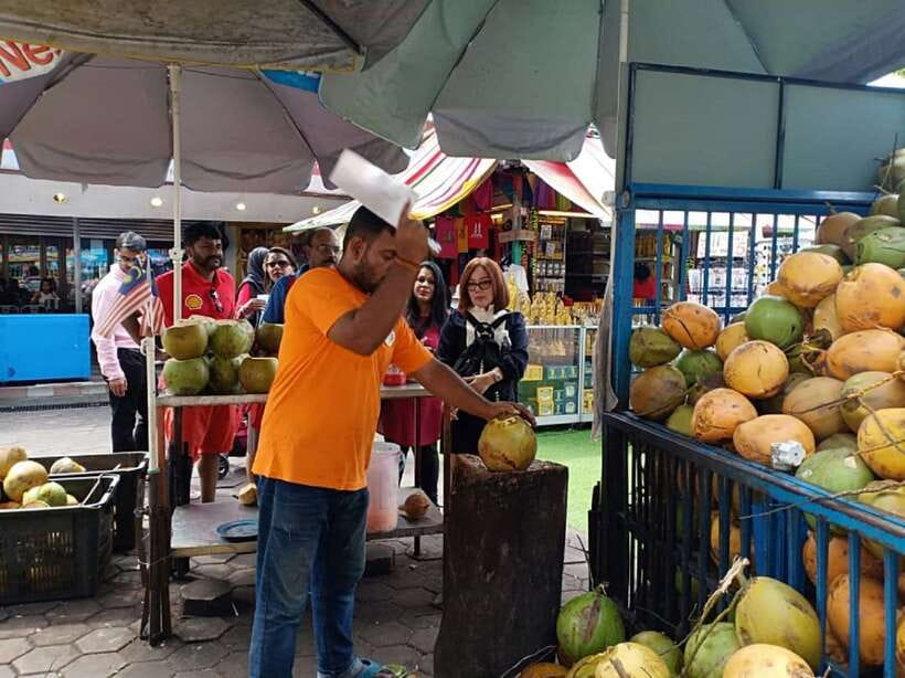 Private KL City Tour with Petronas Twin Towers & Batu Caves - National Mosque and National Monument