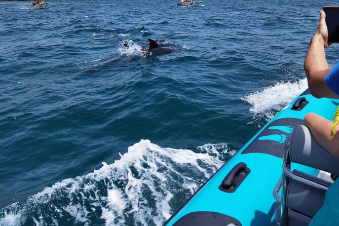 Private Tour Benagil Caves from Portimao - Leaving Portimão for the Algarve cliffs