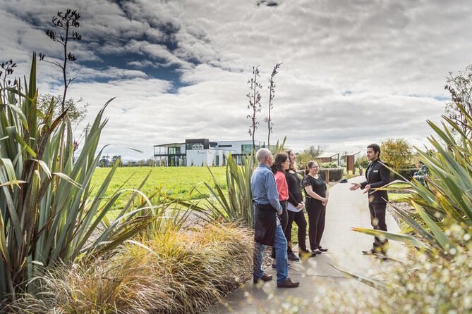 Private tour from Auckland - Waitomo Glowworm Caves, Zealong Tea & Kiwi Bird - Key points to know before booking