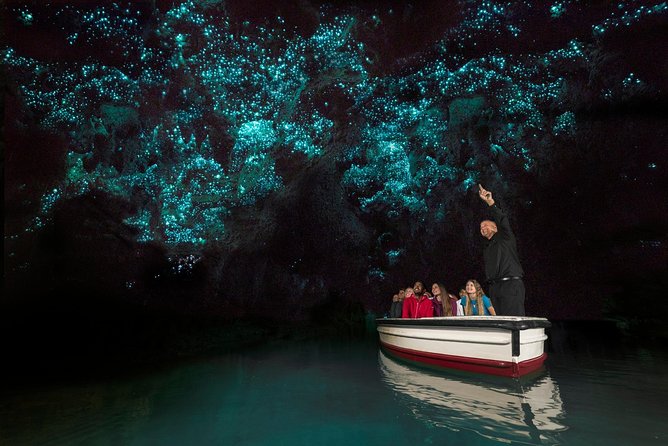 Private tour from Auckland - Waitomo Glowworm Caves, Zealong Tea & Kiwi Bird - Is $619.95 per person good value?