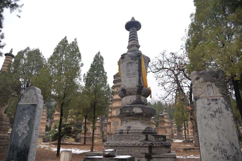Private Tour: Longmen Grottoes, Shaolin Temple & Kungfu Show - Lunch and the Shaolin Kungfu show