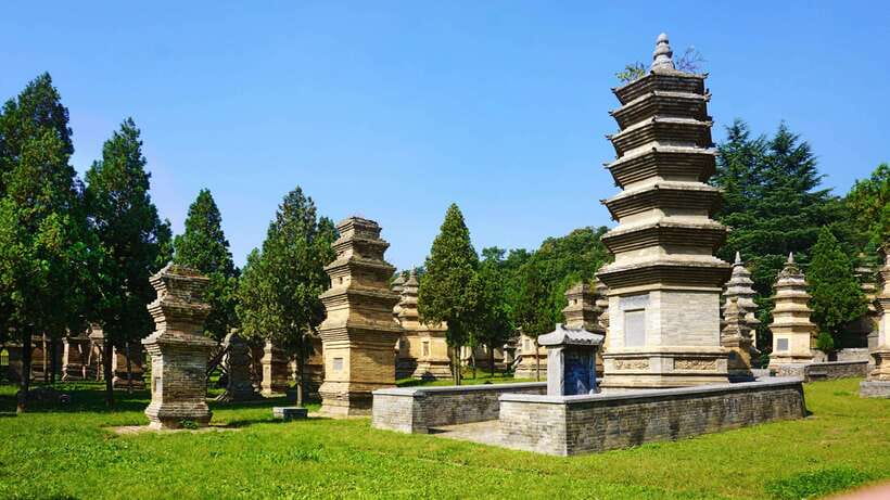 Private Tour: Longmen Grottoes, Shaolin Temple & Kungfu Show - The guides and the private service