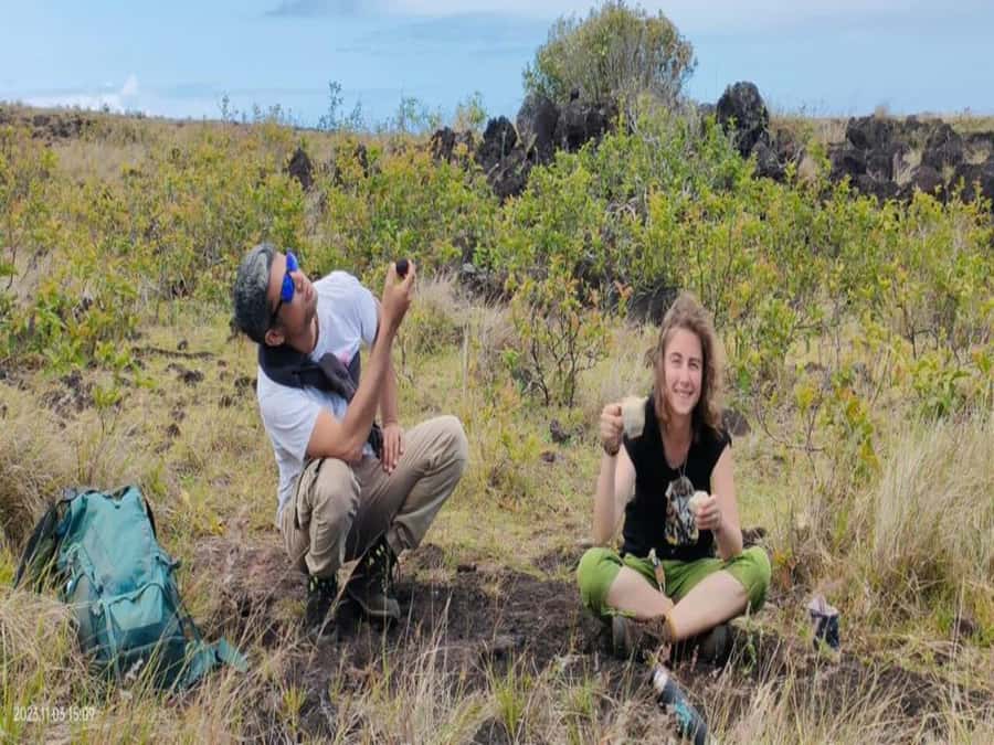 Private Tour: The Underground World of Rapa Nui Caves - Ana Te Pora and the quiet mood of a lava tube