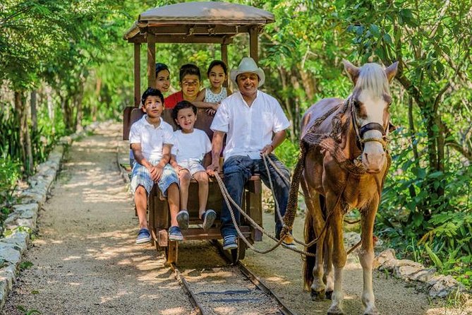 Private Tour: Tulum and Cave Adventure from Cancun - Who will enjoy this private Tulum tour most
