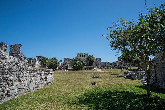 Private Tulum Ruins, Turtles in Akumal and Cenote Adventure - Lunch, transport, and the value of privacy