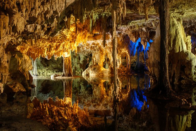 Private Turtles & Cenotes Adventure - Timing, fitness, and what to pack