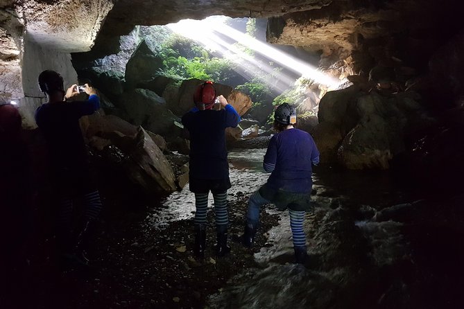 Private Waitomo Glowworm Cave Tours - A real cave outing, not a staged walk
