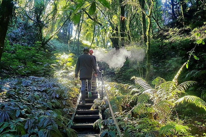 Private Waitomo Glowworm Cave Tours - Price and value for a group of two to eight