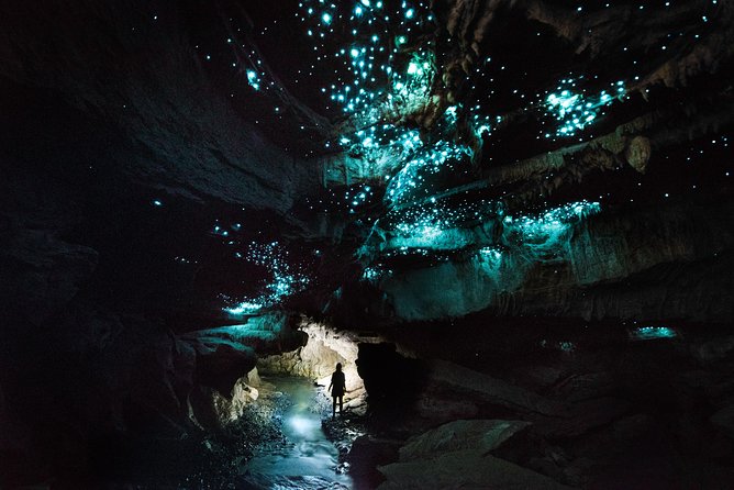 Private Waitomo Glowworm Cave Tours - Why the private guide makes a difference