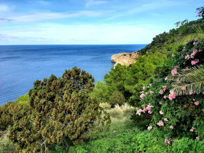 Puerto de San Miguel: Can Marçá Cave Guided Tour with Entry - Following the Route Into the Cave
