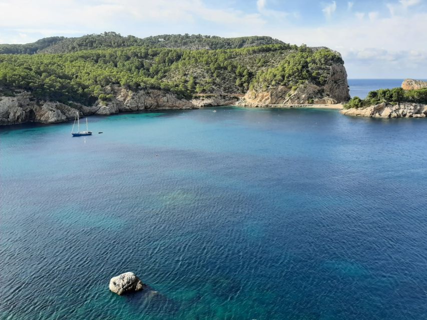 Puerto de San Miguel: Can Marçá Cave Guided Tour with Entry - Who Will Enjoy This Visit Most?