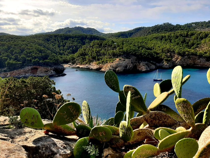 Puerto de San Miguel: Can Marçá Cave Guided Tour with Entry - Light, Sound, and Water Effects