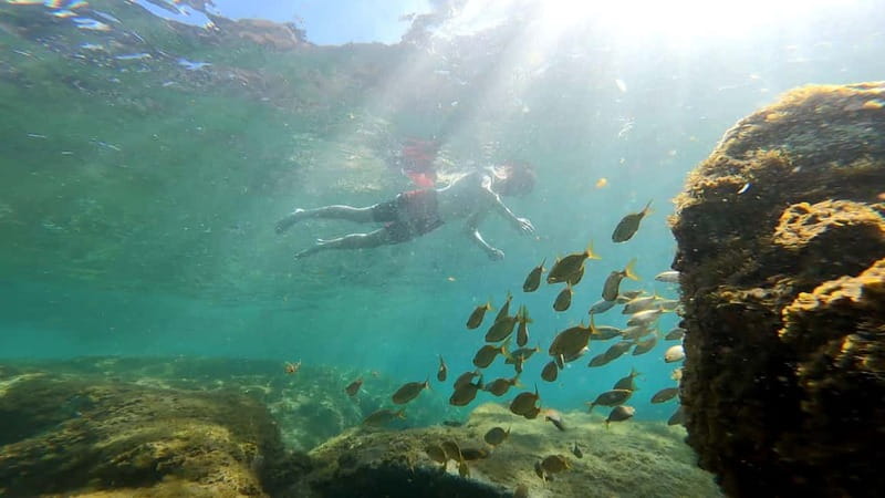 Puerto Mogán: Guided Adventure Kayak Tour in Caves & Snorkel - Getting started: equipment and the first lesson