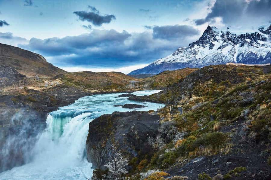 Puerto Natales: Full Day Torres del Paine + Milodon Cave - A close look at wildlife along the road