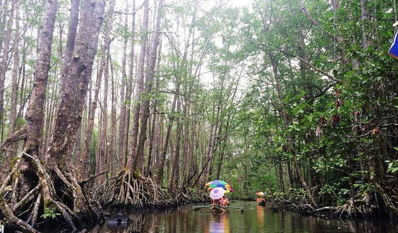Puerto Princesa: Underground River, Zipline, Paddleboat Tour - Walking to the 800-meter Sabang X zipline