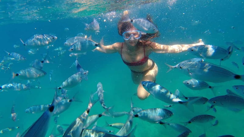 Pula: Cave Kayak, Snorkeling, Cliff Jumping All-in-one Tour - Who will enjoy this Cape Kamenjak outing