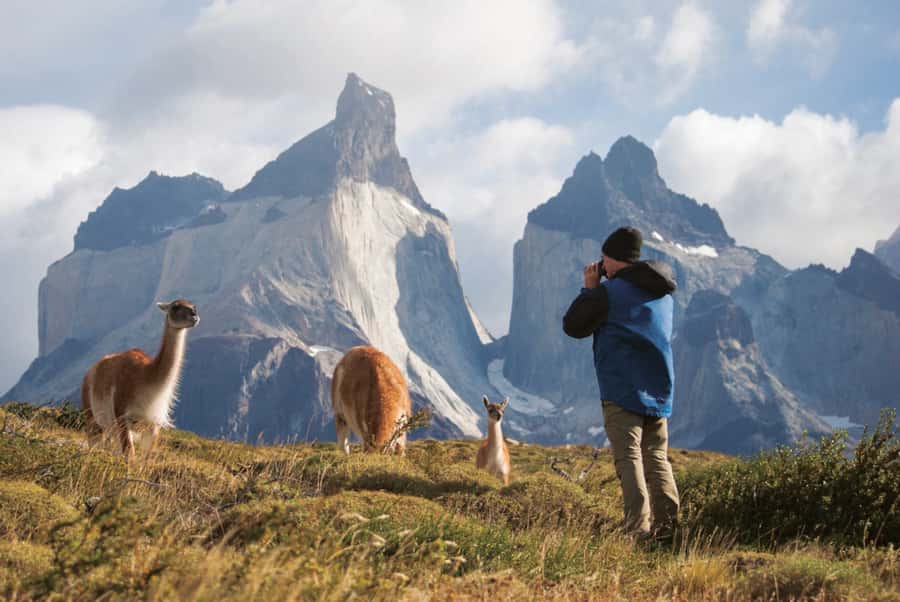 Punta Arenas: Full Day Torres del Paine + Milodon Cave - Key points to know before you book