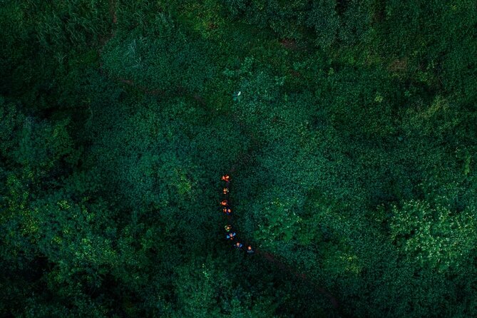 Pygmy Cave | The magnificent cave in Phong Nha | 2 days 1 night - The doline connects two extraordinary cave spaces