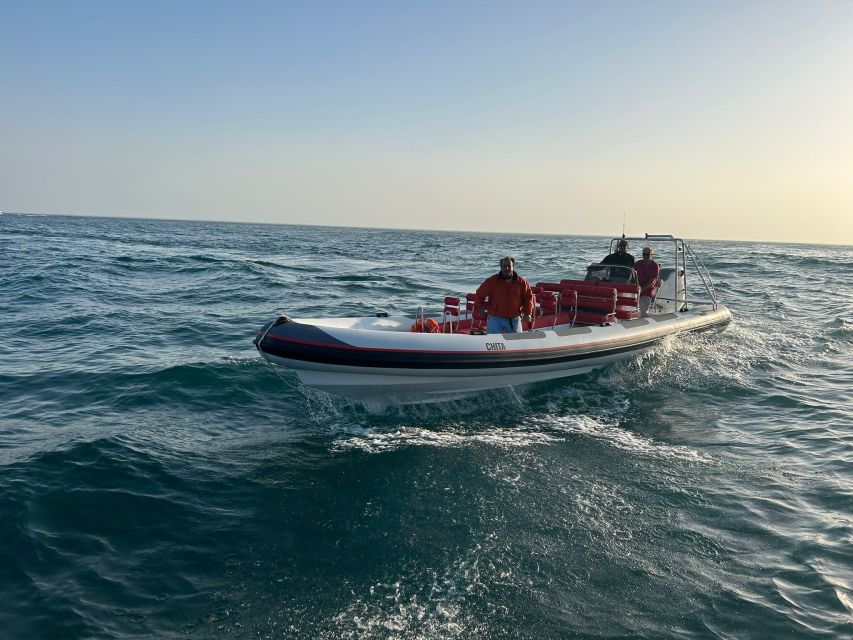 Quarteira: Algarve Coast, Caves and Dolphin Watching Cruise - Comfort, clothing, and photography