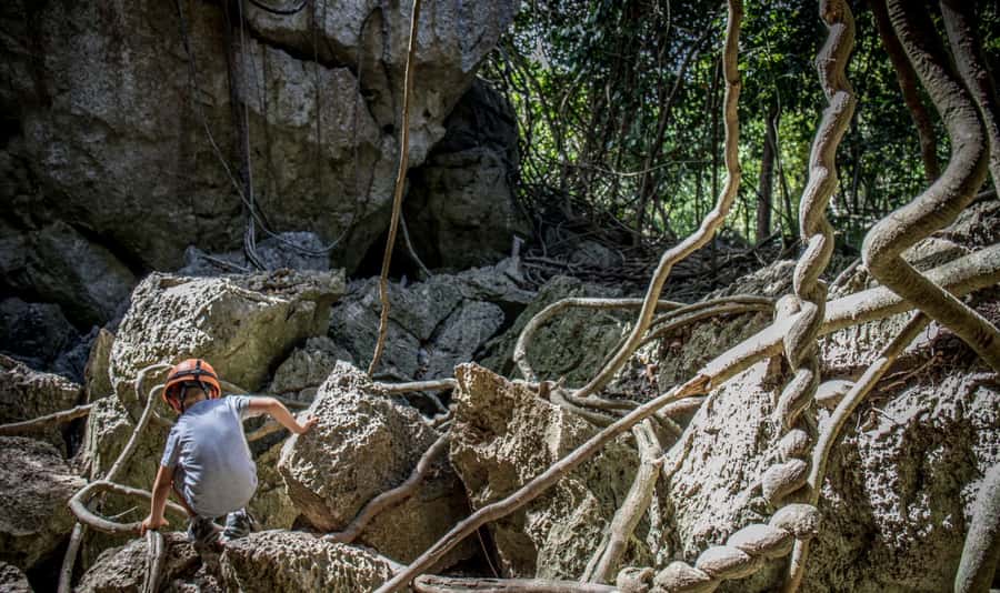 Queensland: 90 Minute Capricorn Caves Explorer Tour - Key points to know before you go