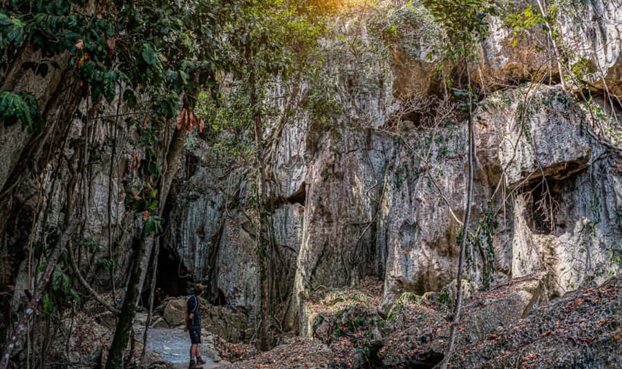 Queensland: 90 Minute Capricorn Caves Explorer Tour - Who should book this cave adventure?