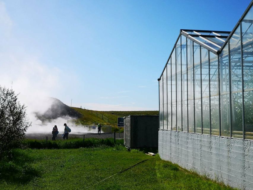 Reykjavik: Lava Cave, Hot Springs, Horses & Waterfalls Tour - Who will enjoy this tour most