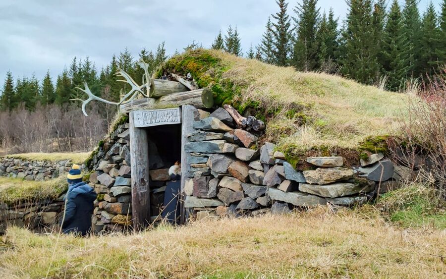 Reykjavik: Lava Cave, Hot Springs, Horses & Waterfalls Tour - What the $222 price really covers