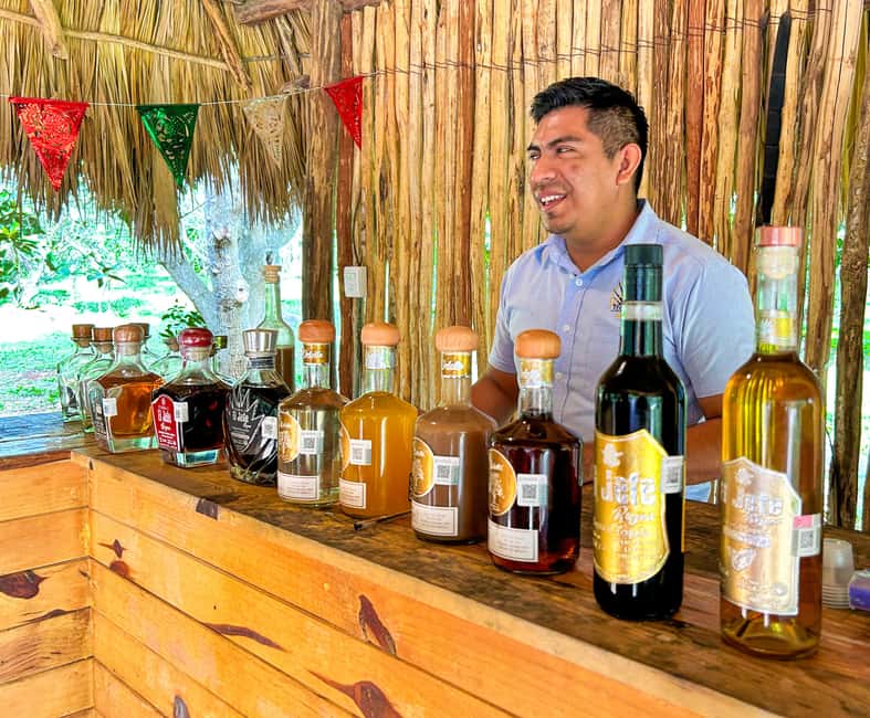 Riviera Maya: Chichen Itza, Valladolid & Cenote Swim Tour - Who should book this day trip?