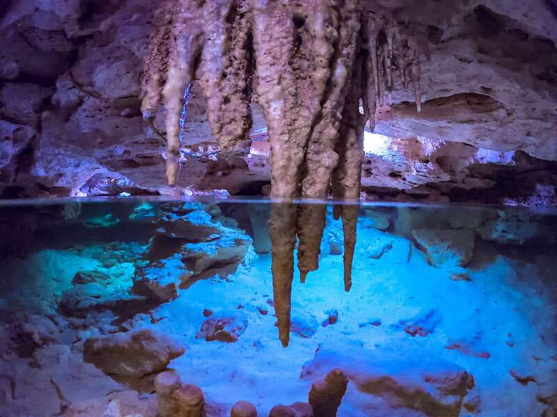 Riviera Maya: Kantun Chi Cenotes, Snorkel & Jungle Hiking - Key points at a glance