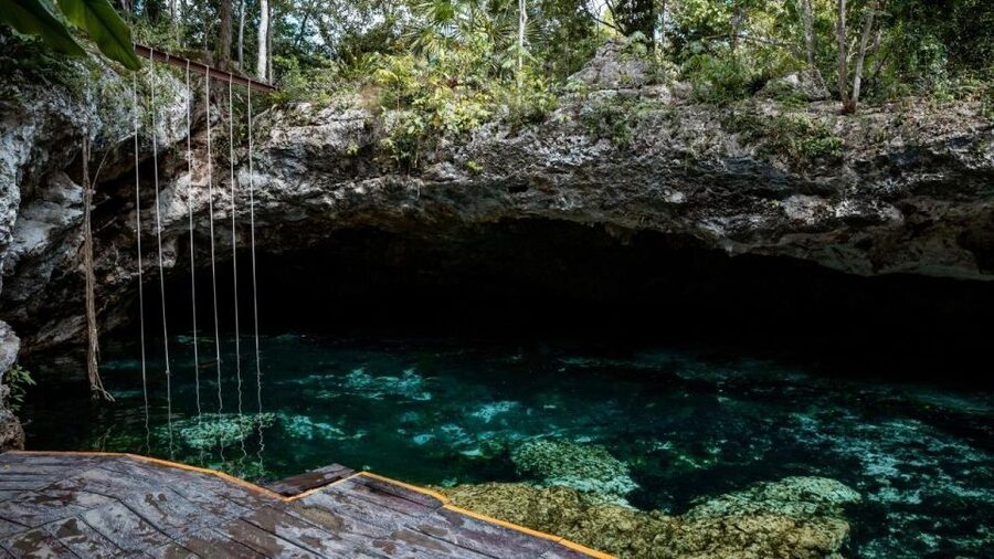 Riviera Maya: Tulum Ruins and 2 Cenotes Half-Day Tour - Transport, pickup, and the pace of the day