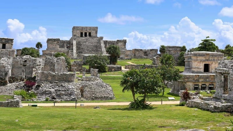Riviera Maya: Tulum Ruins and 2 Cenotes Half-Day Tour - The real price is closer to $82 for an adult