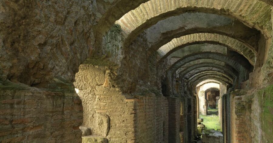 Rome: Ancient History and Colosseum Underground Tour - Skip-the-line entry, with a few practical limits