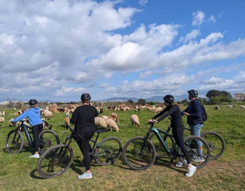 Rome: Appian Way, Aqueducts, & Catacombs E-Bike Guided Tour - Who should book this ride