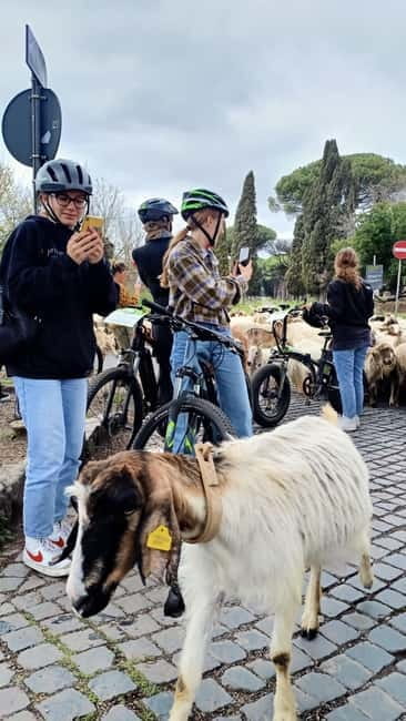 Rome: Appian Way, Aqueducts, & Catacombs E-Bike Guided Tour - Aqueduct Park is the visual high point