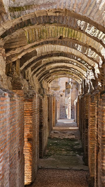 Rome: Colosseum Underground max 6 people - Roman Forum and Palatine Hill after the Colosseum